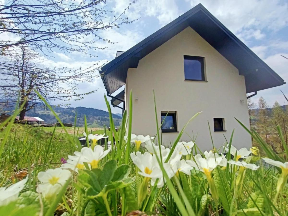 Domek W Malowniczych Pieninach Krościenko Exteriér fotografie